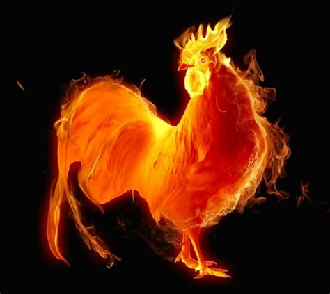 Flaming rooster - TIP: If you have multiple steaks where people want them done at different temperatures, bring a glass container out with a cover. When the rare and medium-rare groups is done, remove them from the grill and place them in the container.